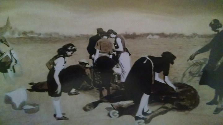 Cardy Horses image
